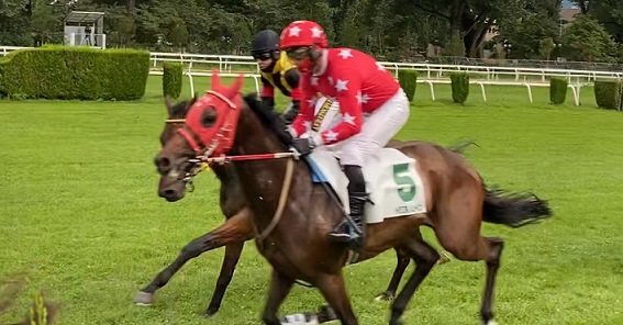 ITALIA. Makito e Raffaele Romano dominano il Pasqualino Mazzoni a Merano confermando i buoni propositi della vigilia. Sternkranz vince la vendere sullo steeple e Josef Aichner lo difende all’asta