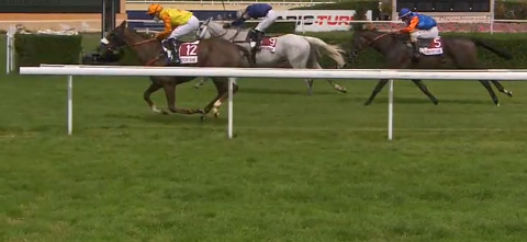 FRANCIA. Saint Poursain e Alexis Poirier perfetti nel Grand Steeple Chase Ville de Deauville a Clairefontaine, battuto il grigio Polinuit e il cinque anni Fahawro, solo quinto l’atteso Bounwell