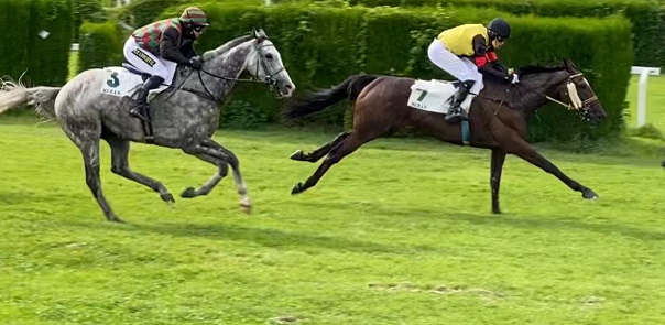 REPUBBLICA CECA. A Praga tornano in pista i veterani Sternkranz e Capivari per i colori di Josef Aichner, occasione di un buon rientro nella tradizionale Golden Cup sui 4200 metri, contro un avversario ben rodato e di tutto rispetto come Stuke allievo di Radek Holcak