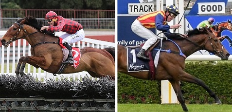 AUSTRALIA. A Sandown Park va in scena la grande sfida del Grand National Hurdle fra il campione in carica Tallyho Twinkletoe e l’imbattuto Ablaze; Bee Tee Junior e Gobstopper le alternative, Sollevare la super sorpresa