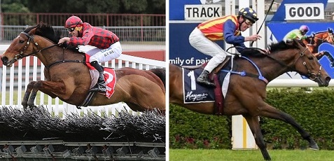 AUSTRALIA. A Sandown Park va in scena la grande sfida del Grand National Hurdle fra il campione in carica Tallyho Twinkletoe e l’imbattuto Ablaze; Bee Tee Junior e Gobstopper le alternative, Sollevare la super sorpresa