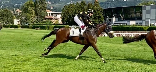 ITALIA. Merano, Elia Tanghetti brilla con le sue stelle gialle, Assassin fra i tre anni dello Spegasso Memorial Ferrari e Namoum nella periziata in ricordo di Ernesto Loccatelli. Sullo steeple torna alla vittoria il qualitativo Prince D’Orage; Agus 25 esima vittoria