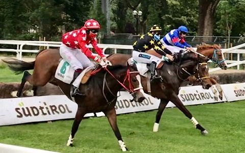 ITALIA. Maia, cresce l’attesa per il super week end Gp in programma sabato 26, domenica due handicap ed una maiden nel ricordo di Carlo Ferrari, attesi Assassin e Namoum sulle siepi, Capitoul nello steeple
