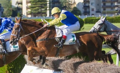 REPUBBLICA CECA. A Karlovy Vary ottimi chaser in pista questa domenica nel premio dedicato a Josef Vana Sr, Aztek il più atteso contro validi routinier fra i quali spiccano i nomi di Dusigrosz, Skins Rock e il rientrante Mr Spex