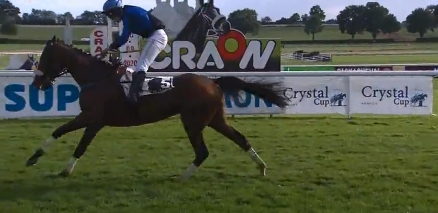 FRANCIA. Bomari strepitoso a Craon, l’allievo di William Menuet pilotato da Romain Juillot, ha vinto lo spettacolare Prix Super U Craon Grand Cross (Crystal Cup) precedendo Deauseille e la compagna Dylan