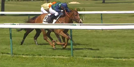 FRANCIA. Domenica grande appuntamento sul circuito De La Touche con il Prix Super U Craon (Prix Louis de Guebriant) Grand Cross de Craon, 6000 metri, 31 ostacoli e tanta incertezza con Eddy Blues per Patrice Quinton vs la truppa di Gabriel Leenders