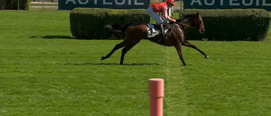 FRANCIA. Auteuil giovedì, interessante il Prix Bayonnet con il return match Gènèral en Chef vs Want of a Nail. Da vedere le due prove riservate agli inediti maschi e femmine del Prix Pride Of Kildare e de Nantes