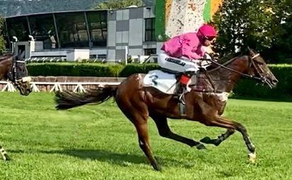 ITALIA. Merano, domenica fucsia con Paolo Favero che firma una tripla, Johnny Be Good ok fra i tre anni, Precision Prince vince la prova per anziani. Nel cross ottimo primo piano per Almost Human, in apertura prima vittoria per Natam