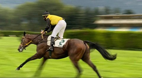 ITALIA. Merano, Caimi di selezione, restano in due ma L’Estran interpretato da Alex Pollioni conferma il proprio target da campione e vola verso il Gran Premio. Prima corsa di gruppo per Gabriele Agus nel Tagliabue grazie alle splendida galoppata della femmina No Profit; Stuke ok guarda alla gran siepi, Sky Costellation top fra i quattro anni