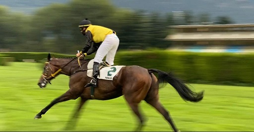 ITALIA. Merano, Caimi di selezione, restano in due ma L’Estran interpretato da Alex Pollioni conferma il proprio target da campione e vola verso il Gran Premio. Prima corsa di gruppo per Gabriele Agus nel Tagliabue grazie alle splendida galoppata della femmina No Profit; Stuke ok guarda alla gran siepi, Sky Costellation top fra i quattro anni