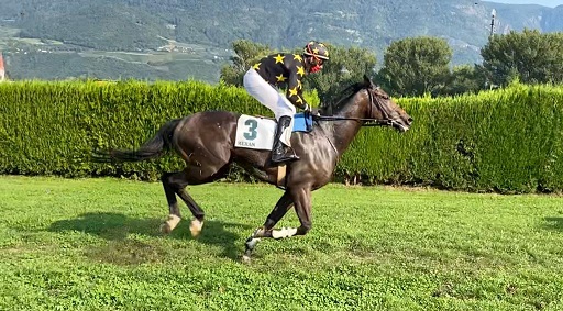 ITALIA. Milano, Brivio primo test gran siepi, il ceco Korfu all’esame Namoum, alla finestra i compagni Aixois e Morning Star. San Giorgio opzione Robbesant, splendido il Monte Stella con il duo Romano vs Way To Epsom e Shalamann