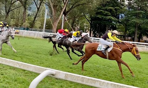 ITALIA. Stuke e Lukas Matusky maestosi nella Gran Siepi di Merano, battuti Beau Saonois e la francese Così Fan Tutte, quarto Candalex avanti a Live Your Life. First Of All leader fra i quattro anni sullo steeple, Broughton immenso, si prende anche il Nazioni