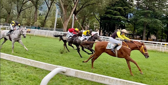 ITALIA. Stuke e Lukas Matusky maestosi nella Gran Siepi di Merano, battuti Beau Saonois e la francese Così Fan Tutte, quarto Candalex avanti a Live Your Life. First Of All leader fra i quattro anni sullo steeple, Broughton immenso, si prende anche il Nazioni