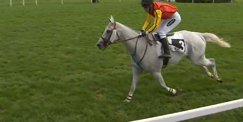 FRANCIA. Celtior e Johnny Charron in bello stile nel Prix Marcel Michel – Grand Steeple Chase de Strasbourg, l’allievo di Ludovic Viel ha preceduto Winterfell e Bonfou D’Airy