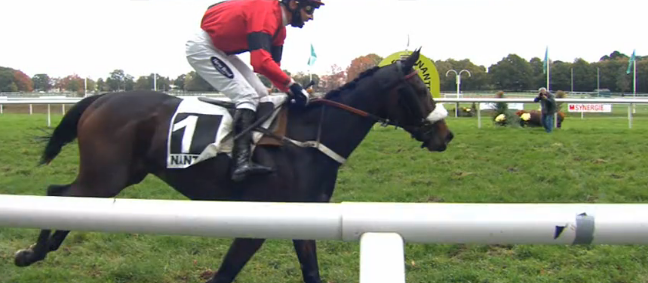 FRANCIA. Nantes, Diffly River Ann e Johnny Charron dominano il Prix Président Michel Bodiguel – Grand Steeple Chase de Loire Atlantique, al secondo posto Derby des Pictons avanti a Pragelor