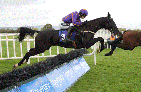 IRLANDA. Gowran Park, si corre la PWC Champion Chase di gruppo due, in pista Easy Game per Willie Mullins, vs The Storyteller, Hardline e Paloma Blue