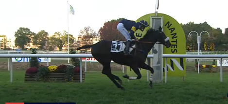 FRANCIA. Nantes, attesa per il Prix du Président Michel Bodiguel (Grand Steeple Chase de Loire Atlantique), il veterano Espoir de Belloeut (11 anni) vincitore a Landivisiau vs sette agguerriti avversari