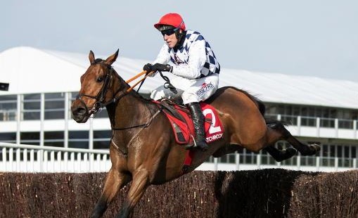 INGHILTERRA. Galvin e Fusil Raffles si confermano nell’opening day a Cheltenham. L’irlanese di Gordon Elliott ha come obiettivo il prossimo National Hunt Chase; Henderson pensa a Kempton per il portacolori di Simon Munir e Isaac Souede