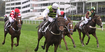 REPUBBLICA CECA. Hegnus e Lukas Matusky trionfano alla 130 esima edizione del Velká Pardubická, il dodicenne pensionario di Radek Holcak, trainer alla sua seconda vittoria, era il più anziano in gara, battuti Player, Vandual e Talent