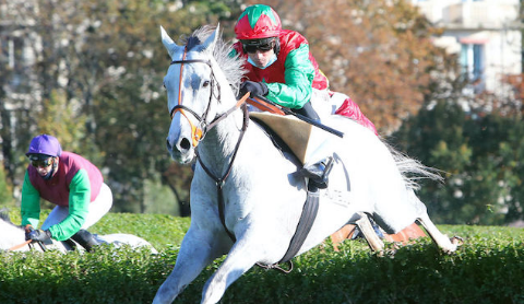 FRANCIA. Le Berry, un marziano nel Prix Orcada. Ad Auteuil l’allievo di David Cottin resta imbattuto confermandosi leader generazionale dei 4 anni sullo steeple, per il figlio di Al Namix quinta vittoria consecutiva, battuto l’Apqs Galleo Conti