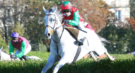 FRANCIA. Trials di gruppo questa domenica ad Auteuil con Orcada, Camathern ed Heros XII. Fra gli anziani sulle siepi la super campionessa L’Autonomie cerca il pass definitivo per il GP D’Automne, fra i chaser si rivede Le Berry, Nicolle a tre punte fra i 4 anni