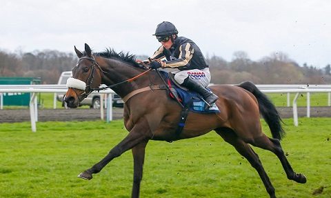 REGNO UNITO. Venerdì a Chepstow la tradizionale Persian War Hurdle con la presenza del Nicholls McFabulous; a Limerick la due giorni più attesa, domenica il grande appuntamento del Munster National Chase in ricordo di Jt McNamara