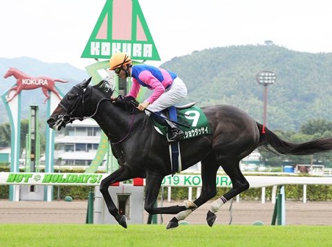 GIAPPONE. Missione compiuta per Meisho Dassai che conquista il Nakayama Daishogai, per il campione di Yoshio Matsumoto si è trattata della terza vittoria di Gr1 in questo 2020, secondo la sorpresa Ken Hovawart avanti ai runner up Tagano Espresso e Bright Quartz
