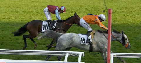 FRANCIA. Auteuil, sorpresa nella Grand Course de Haies, la super favorita L’Autonomie battuta da una straordinaria Paul’s Saga. In sella alla vincitrice Kevin Nabet, alla sua seconda vittoria nella champion hurdle francese; primo sigillo da allenatore in Gr1 per David Cottin. Fra le tre anni conferma per Hotesse du Chenet