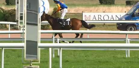 FRANCIA. Forma top per Saint Anjou ed Arthur Nail in bello stile nella Grand Course de Haies de Bordeaux, battuto il generoso Via Dolorosa e Dalko Moriviere; crolla nel finale Donne le Change, cade Eclair D’Etat