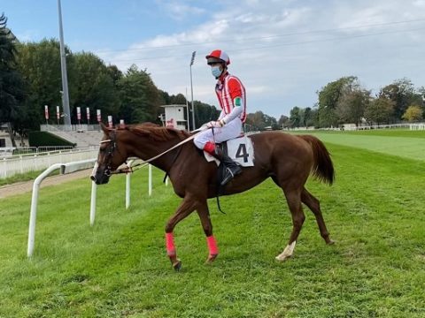 ITALIA. Milano, Vanessa e Daniele padroni del cross; Dominik Pastuszka fa 100 in ostacoli! Splendido doppio Bottura, Manili, Slodzil grazie a Desperados sulle siepi e Duke Is Back nello steeple. Favero en plein nel Toirano