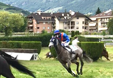 ITALIA. San Siro mercoledì, quattro prove in ostacoli. Nel cross riservato ai gentlemen, Zubiena tenta il suo primo acuto contro Tequila Tango, Vanessa e Starman, nella selling in siepi c’è il veterano Mezajy, incerti i due ascendenti