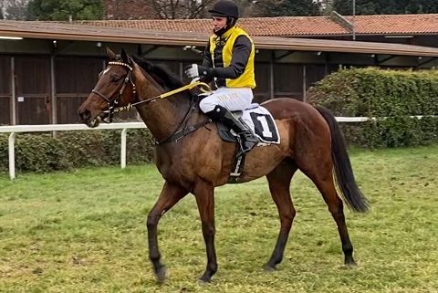 ITALIA. Treviso, Brunch Royal sicuro nell’Amedeo Duca D’Aosta, battuto Silver Tango, terzo Fly Filo Fly avanti a Tamas. Chicago vince ancora sullo steeple, in apertura sorpresa del polacco Hades