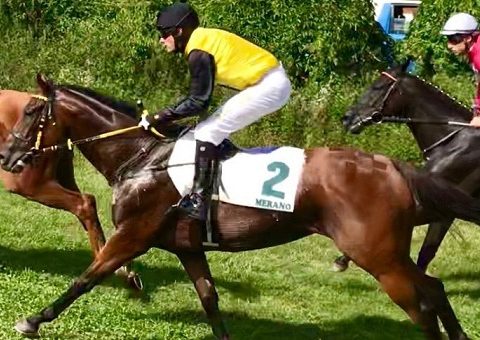 ITALIA. A Treviso c’è l’Amedeo Duca D’Aosta, 28 ostacoli e 4750 metri per la sfida di Brunch Royal al polacco Tamas, Silver Tango e Fly Filo Fly. Chicago tenta il bis sullo steeple dell’Istituto Nastro Azzurro, Volcancito atteso in apertura di programma