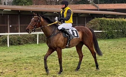 ITALIA. Treviso, Brunch Royal difende il titolo nell’affascinante Amedeo Duca D’Aosta, l’allievo di Josef Vana domina la corsa ben gestito da Pavel Slozil autore di un triplo in giornata. Zanini show nella gran siepi, Piton Des Neiges vince lo steeple; fra i tre anni ok l’importato Thistleton con Ivan Cherchi