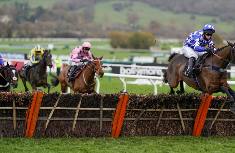 INGHILTERRA. Cheltenham November Meeting, deludono Tiger Roll ed Easysland nello spettacolare Cross Country Chase, splendido il successo del veterano Kingswell Theatre. Does He Know strepitoso, il cinque anni di Kim Bailey si conferma nella Ballymore di Grade 2