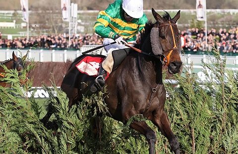 INGHILTERRA. Cheltenham, venerdì il primo atto della tre giorni del November Meeting, clou la Ballymore Novices Hurdle e lo spettacolare Glenfarclas con i campionissimi Easysland e Tiger Roll. Domenica la tradizionale Shloer Chase che guarda alla Queen Mother