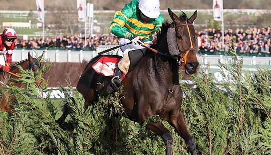 INGHILTERRA. Cheltenham, venerdì il primo atto della tre giorni del November Meeting, clou la Ballymore Novices Hurdle e lo spettacolare Glenfarclas con i campionissimi Easysland e Tiger Roll. Domenica la tradizionale Shloer Chase che guarda alla Queen Mother