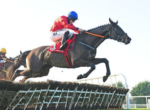 IRLANDA. Fairyhouse, si è chiuso il Winter Festival con le vittorie di Gr1 degli imbattuti Envoi Allen nella Drinmore, Ballyadam (Royal Bond) e la femmina Honeysuckle nella Hatton’s Grace