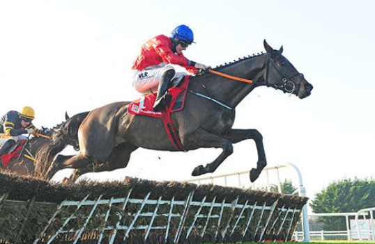 IRLANDA. Fairyhouse, si è chiuso il Winter Festival con le vittorie di Gr1 degli imbattuti Envoi Allen nella Drinmore, Ballyadam (Royal Bond) e la femmina Honeysuckle nella Hatton’s Grace