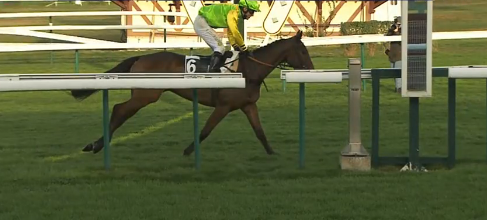 FRANCIA. Francois Nicolle ancora protagonista nel Prix Léopold d’Orsetti Grande Course de Haies de Compiègne, en plein grazie a Flying Startandco e Garasil; buon terzo Berjou. La tre anni Hotesse du Chenet, infila la quarta nel Prix Général de Saint-Didier