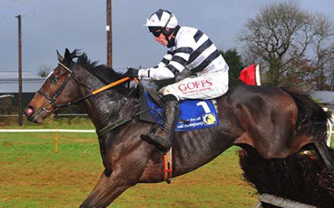 IRLANDA. Dromahane, Jonbon impressiona all’esordio nella point to point. Fratello pieno del campionissimo Douvan, è stato integrato per l’imminente asta di Goffs Uk November Sale. Pagato 140 mila euro, sarà senza dubbio l’attrazione principale di Yorton Farms