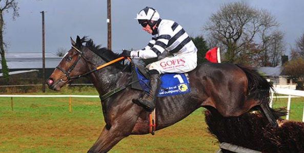 IRLANDA. Dromahane, Jonbon impressiona all’esordio nella point to point. Fratello pieno del campionissimo Douvan, è stato integrato per l’imminente asta di Goffs Uk November Sale. Pagato 140 mila euro, sarà senza dubbio l’attrazione principale di Yorton Farms