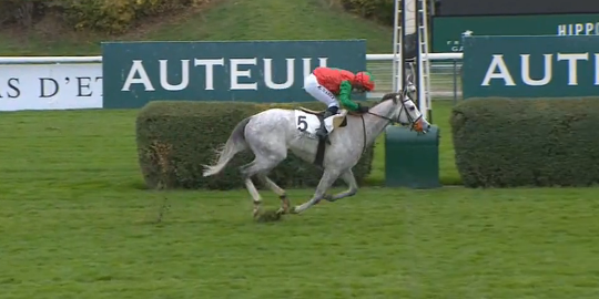 FRANCIA. Auteuil, Le Berry è la superstar! Il quattro anni allenato da David Cottin trionfa anche nel Maurice Gillois e resta imbattuto sullo steeple. Thélème vola nel Cambacérès, (sesta vittoria per Chaillé Chaillé) Paul’s Saga ok nel Camarthen, Hotesse du Chenet e Magic Dream vincono Bournosienne e Congress