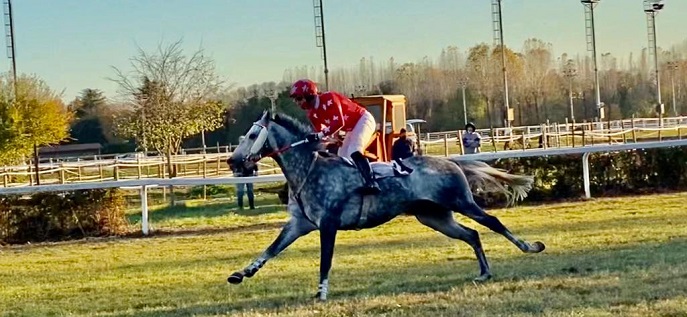 ITALIA. Treviso, Leonardo Da Vinci torna al successo nella periziata sulle siepi, superato il tabù partenza. Honey Sexy offre un bel numero nella maiden per i giovanissimi, Precision Prince netto fra i quattro anni