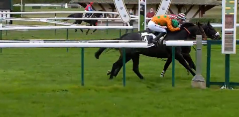 FRANCIA. Matfog piega Ajas nel Grand Steeple Chase de Compiègne, in sella all’allievo di Arnaud Chaillé l’ottimo Thomas Coutant; terzo Saint Goustan Blue, male i compagni Edgeoy (caduto) e Polirico