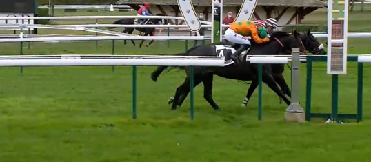 FRANCIA. Matfog piega Ajas nel Grand Steeple Chase de Compiègne, in sella all’allievo di Arnaud Chaillé l’ottimo Thomas Coutant; terzo Saint Goustan Blue, male i compagni Edgeoy (caduto) e Polirico