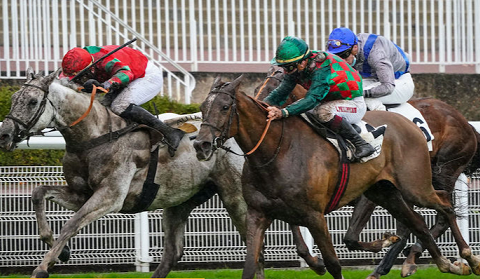 FRANCIA. Auteuil, Davide Satalia e Saint Turgeon strepitoso terzo posto nel Gr 1 del Renaud du Vivier (Grande Course de Haies des 4 Ans), il portacolori di Arcadio Vangelisti battuto da due top horse come Moises Has e James du Berlais