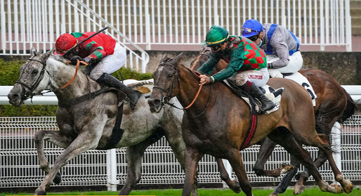 FRANCIA. Auteuil, Davide Satalia e Saint Turgeon strepitoso terzo posto nel Gr 1 del Renaud du Vivier (Grande Course de Haies des 4 Ans), il portacolori di Arcadio Vangelisti battuto da due top horse come Moises Has e James du Berlais