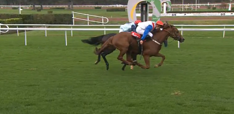 FRANCIA. Lyon Parilly, Pinnacle e Paul Moreau di misura nel Prix Jean Boulard Course de Haies des 3 Ans, l’allievo di Joel Boisnard piega dopo aspro dibattito finale Hermés de Thaix, terzo Sainsenoise avanti a Milos