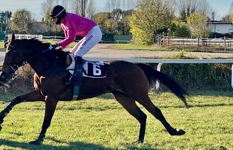 ITALIA. Paolo Favero super tripla nell’apertura a Treviso. Il trainer altoatesino vince con Knapsack in avvio di convegno, doppio Frederick Tett grazie a West Coast Time, chiude Pastuszka con Precision Prince